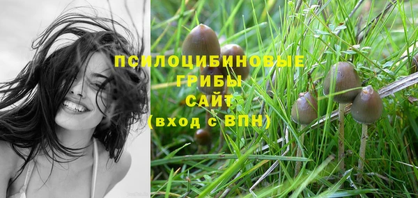 мет Михайлов