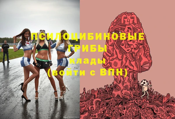 спиды Анива