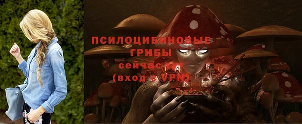 мет Михайлов
