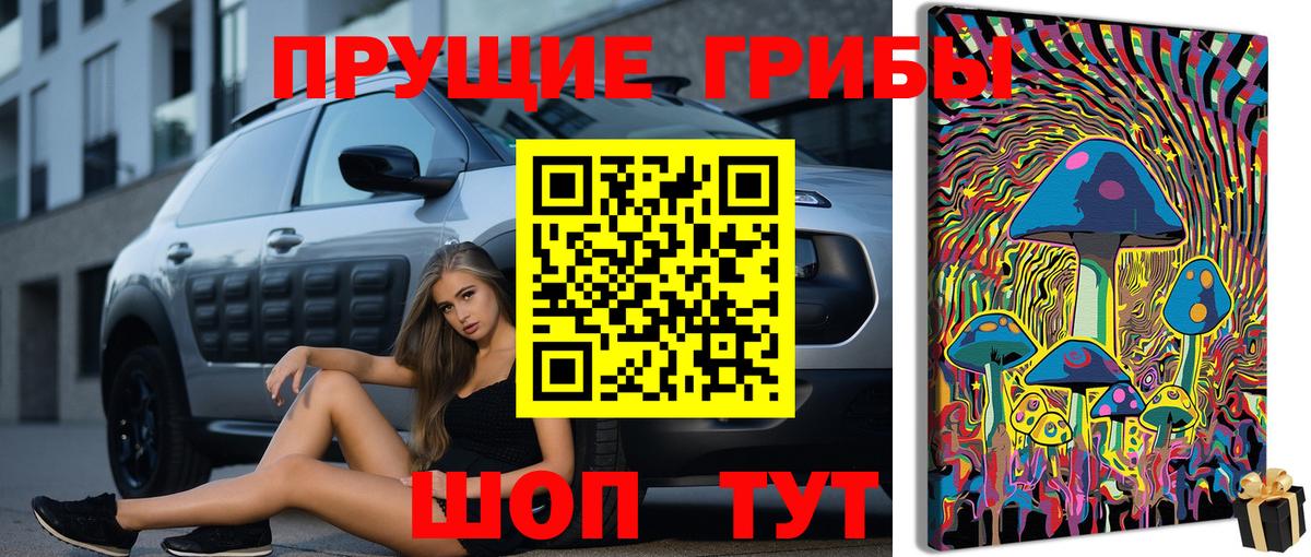 Полысаево  Галлюциногенные грибы GOLDEN TEACHER  Вход с VPN  Галлюциногенные грибы Psilocybine cubensis 