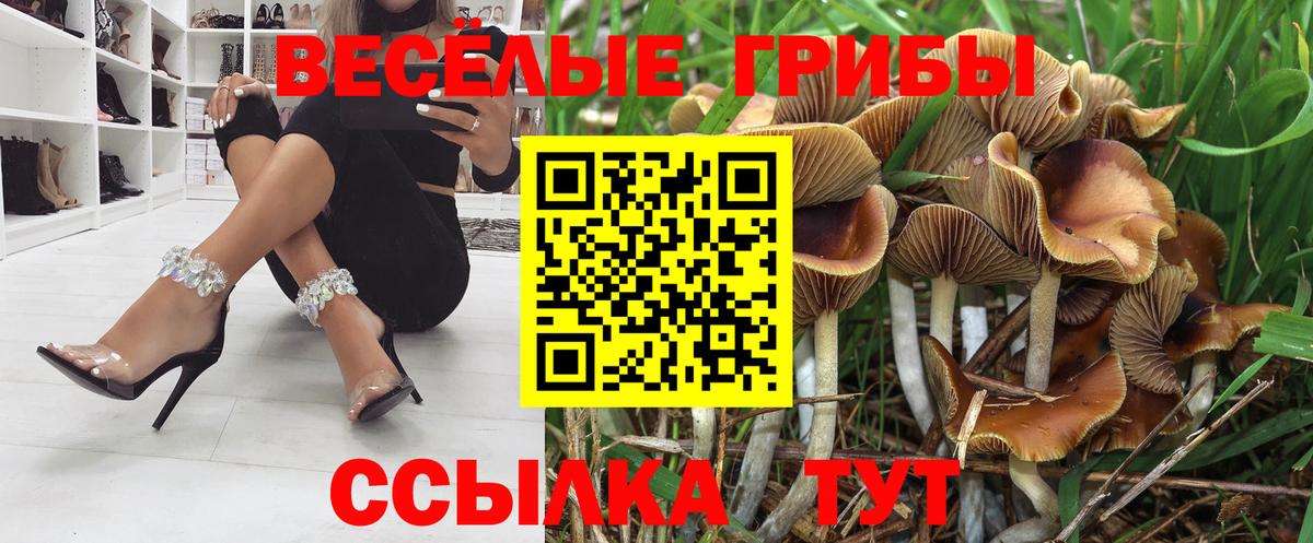 Галлюциногенные грибы мицелий Полысаево